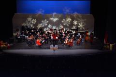 Show-photo-holiday-concert-1